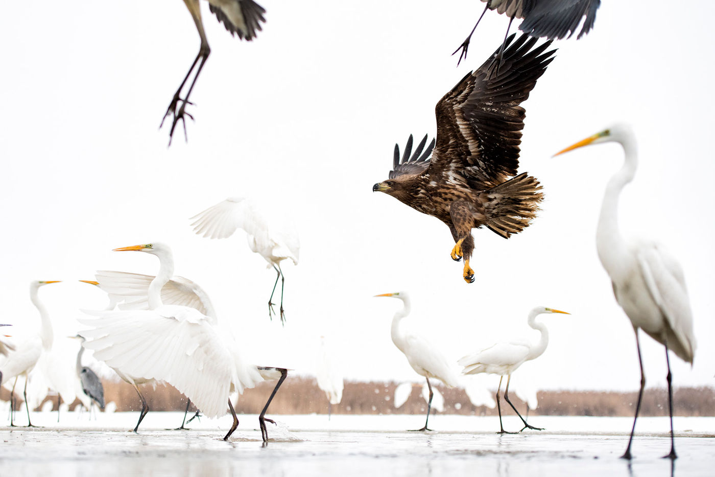 © Bence Maté / voyages STARLING