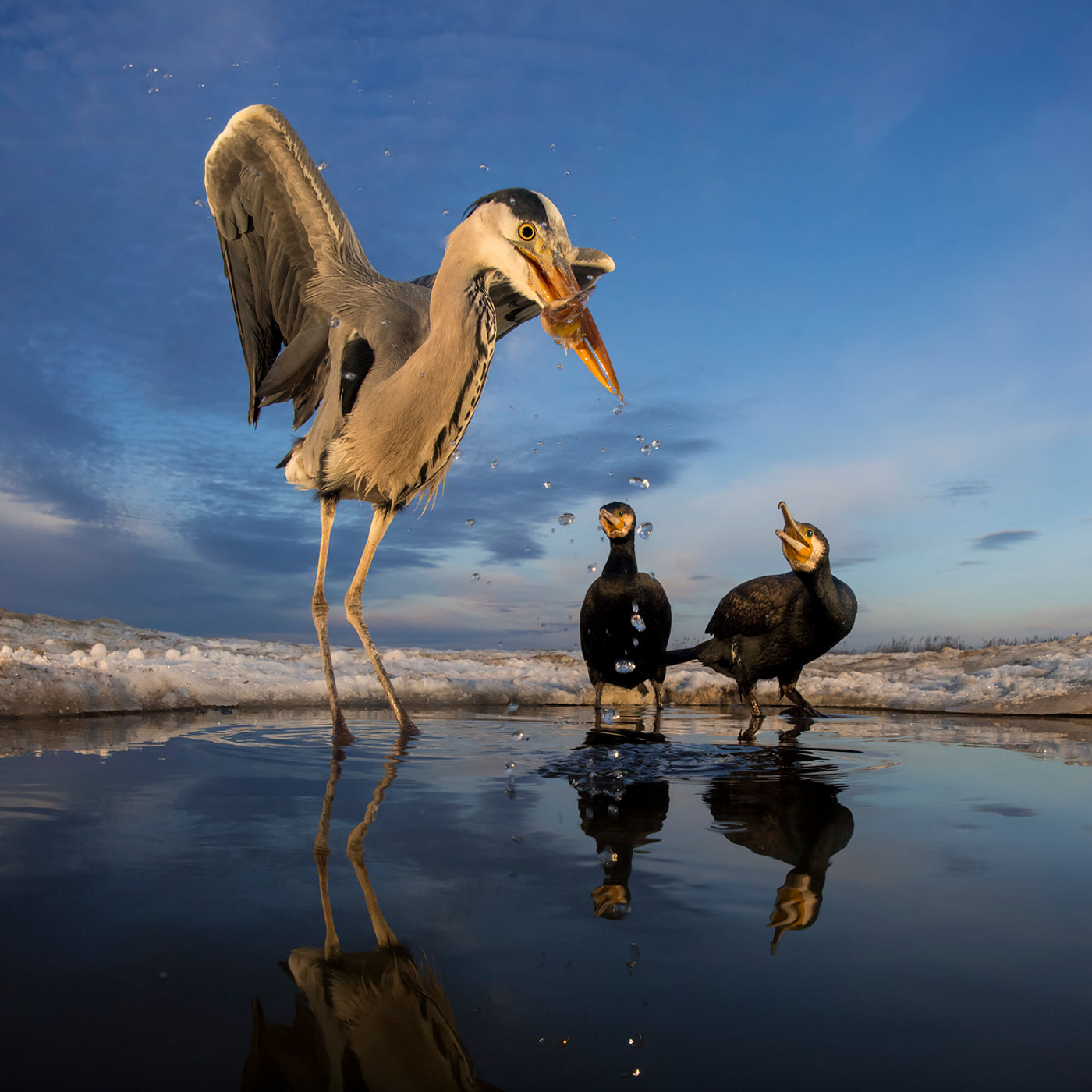 © Bence Maté/STARLING reizen