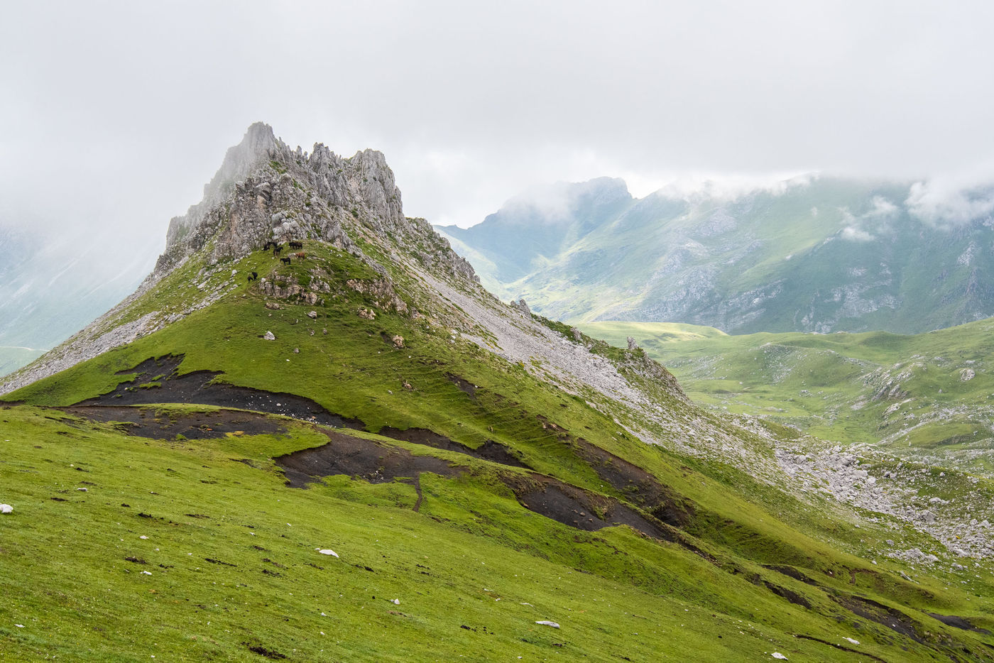 SpanjeGrirgnard-20 © Billy Herman