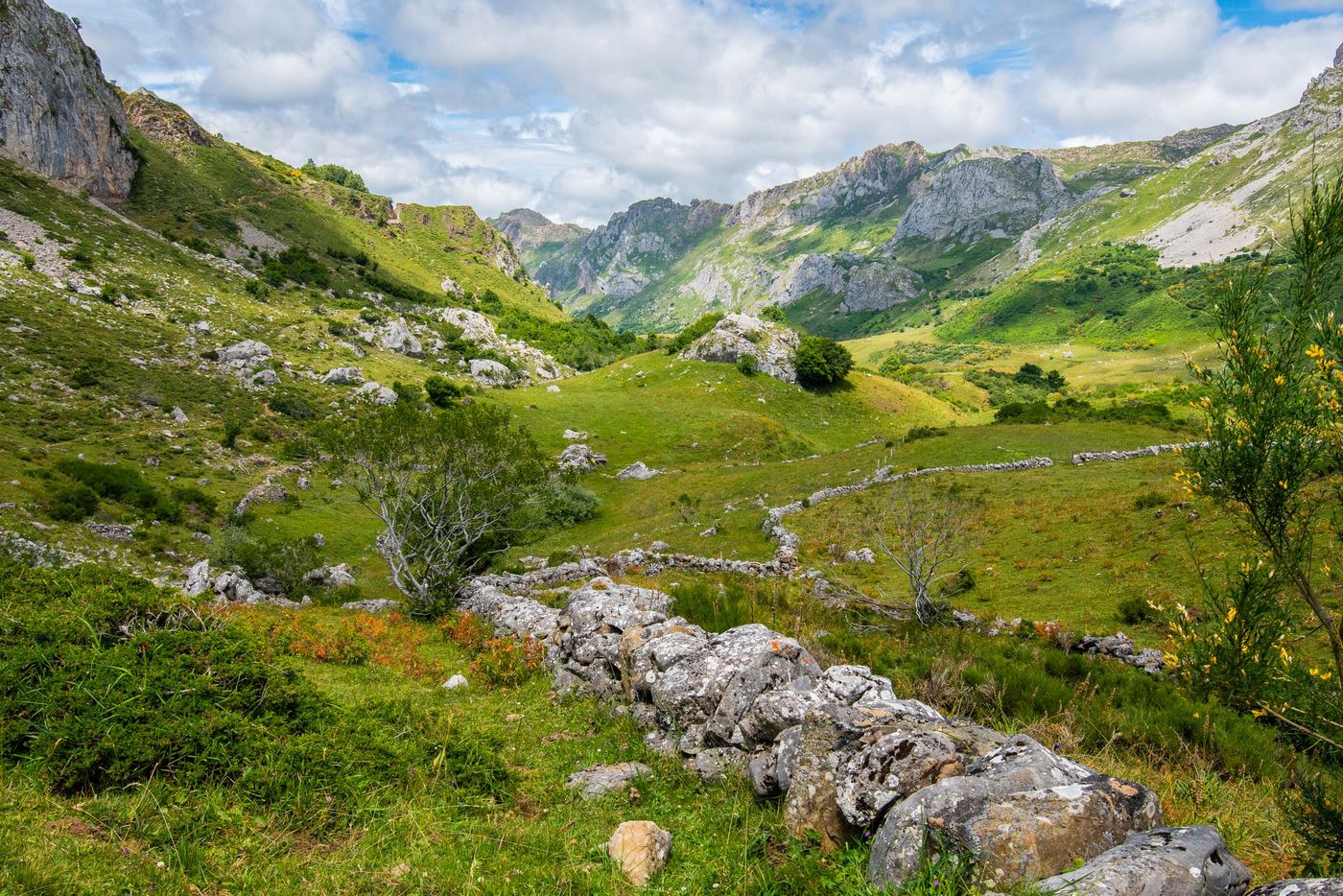 SpanjeGrirgnard-39 © Billy Herman