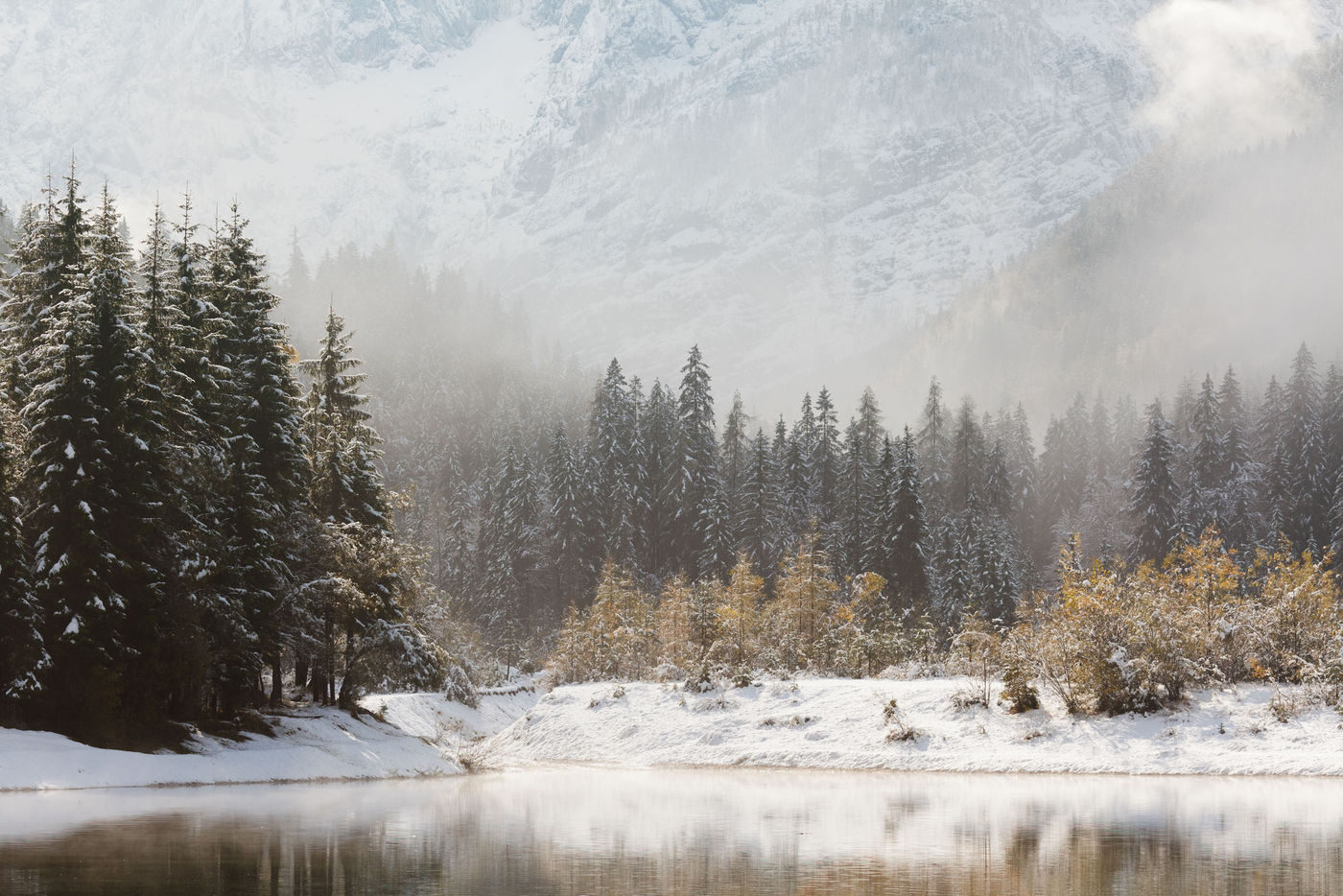 © Bart Heirweg