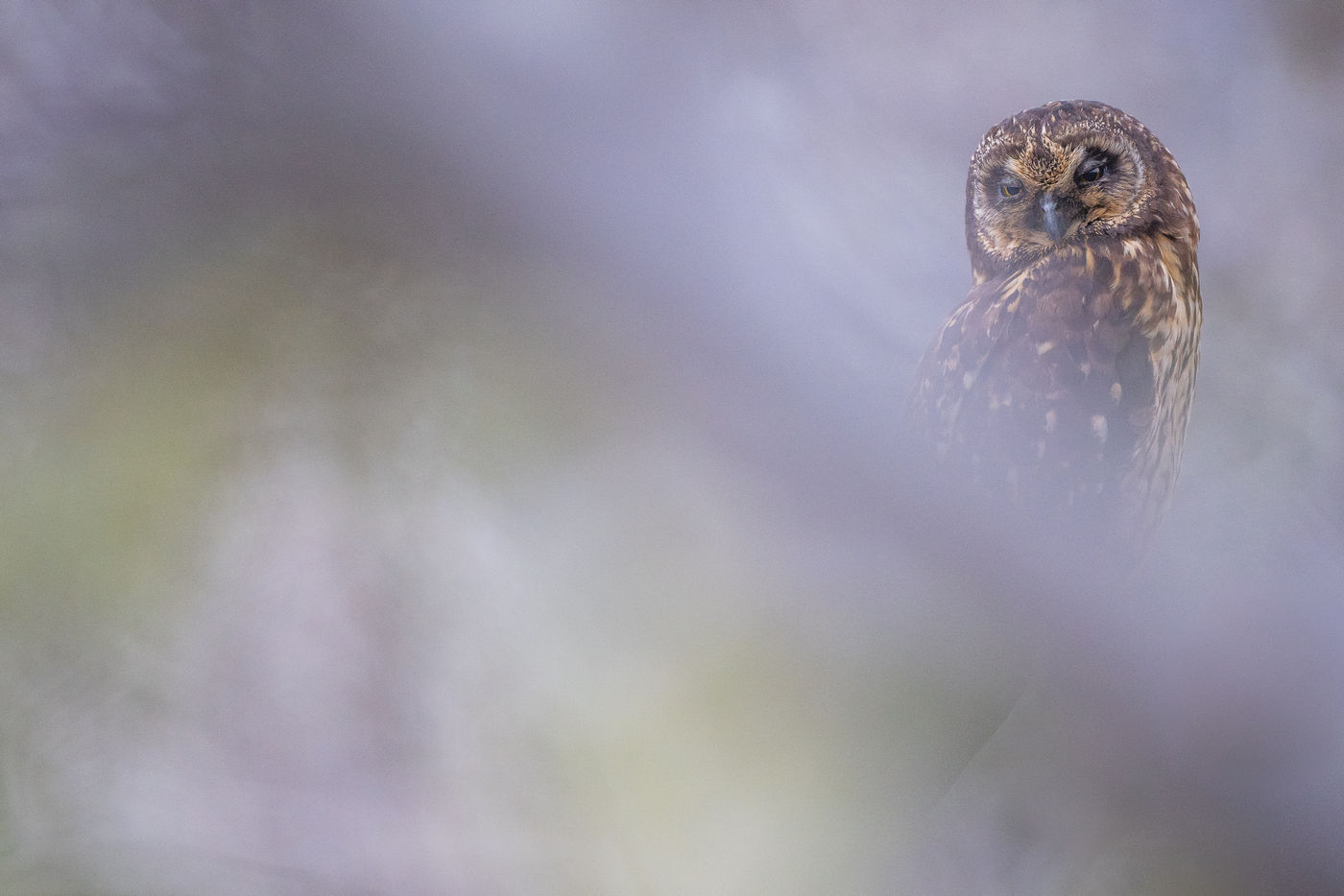 Galapagos © Billy Herman
