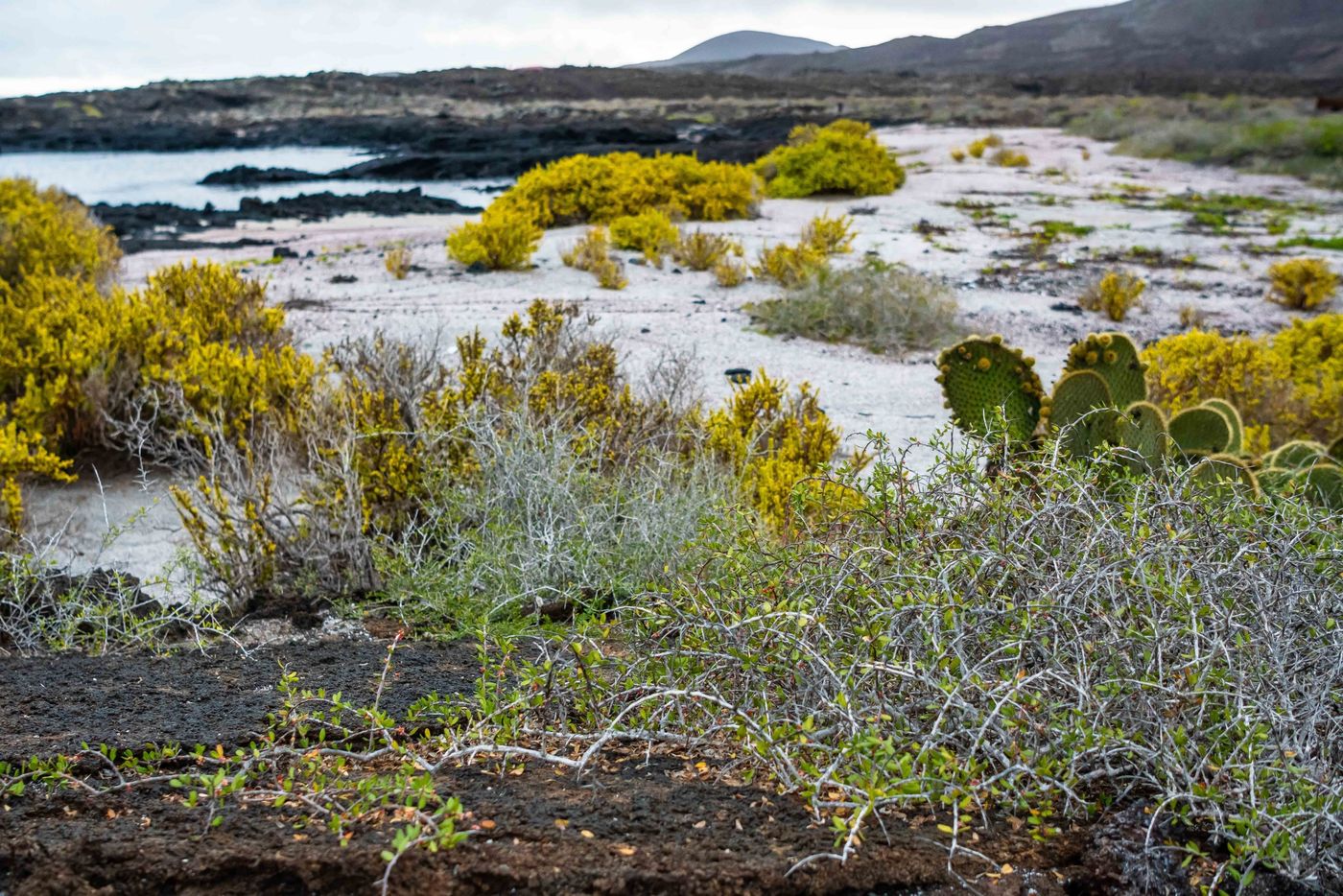 GalapagosBillyHerman-106 © Billy Herman