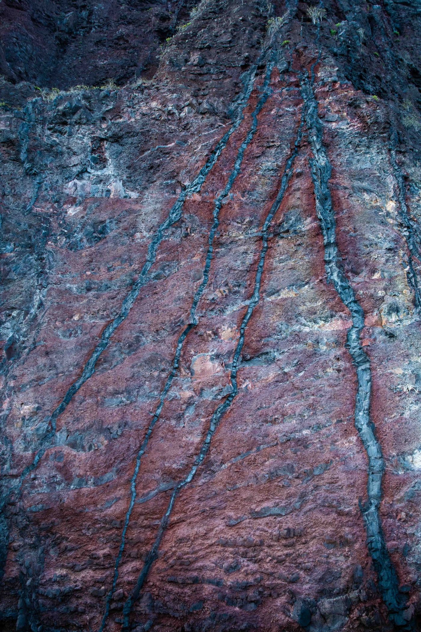 GalapagosBillyHerman-134 © Billy Herman