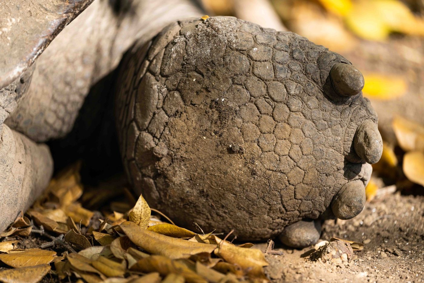 GalapagosBillyHerman-185 © Billy Herman