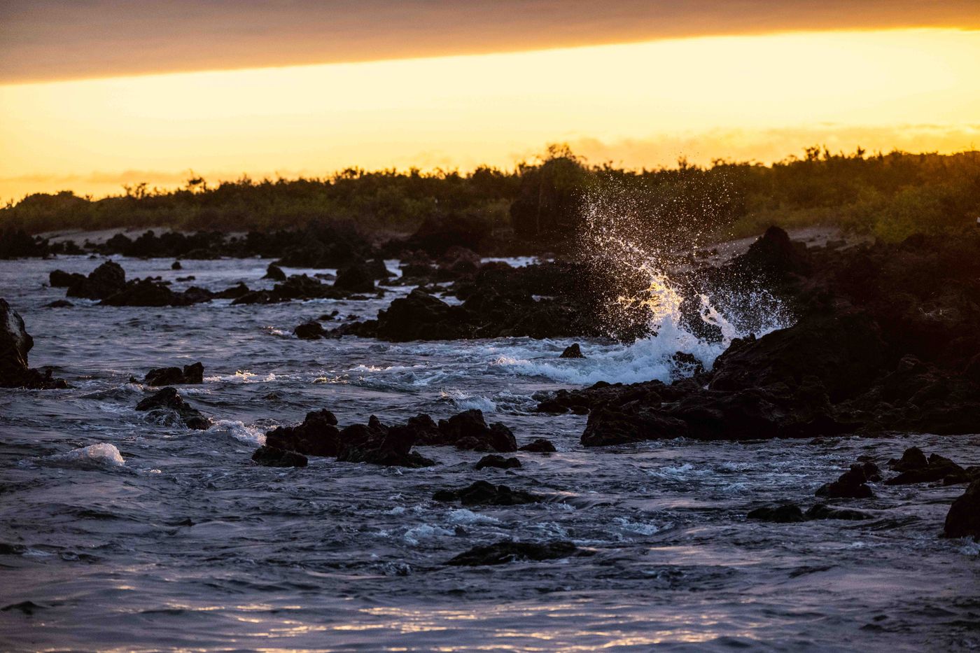 GalapagosBillyHerman-201 © Billy Herman
