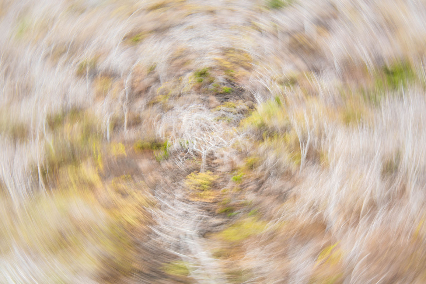 GalapagosBillyHerman-272 © Billy Herman