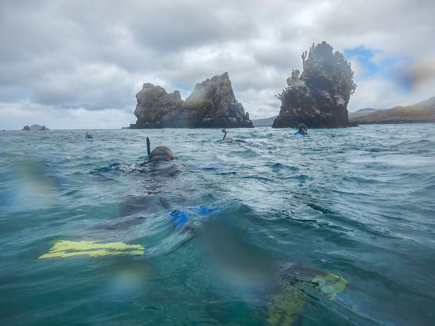 GalapagosBillyHerman-290 © Billy Herman