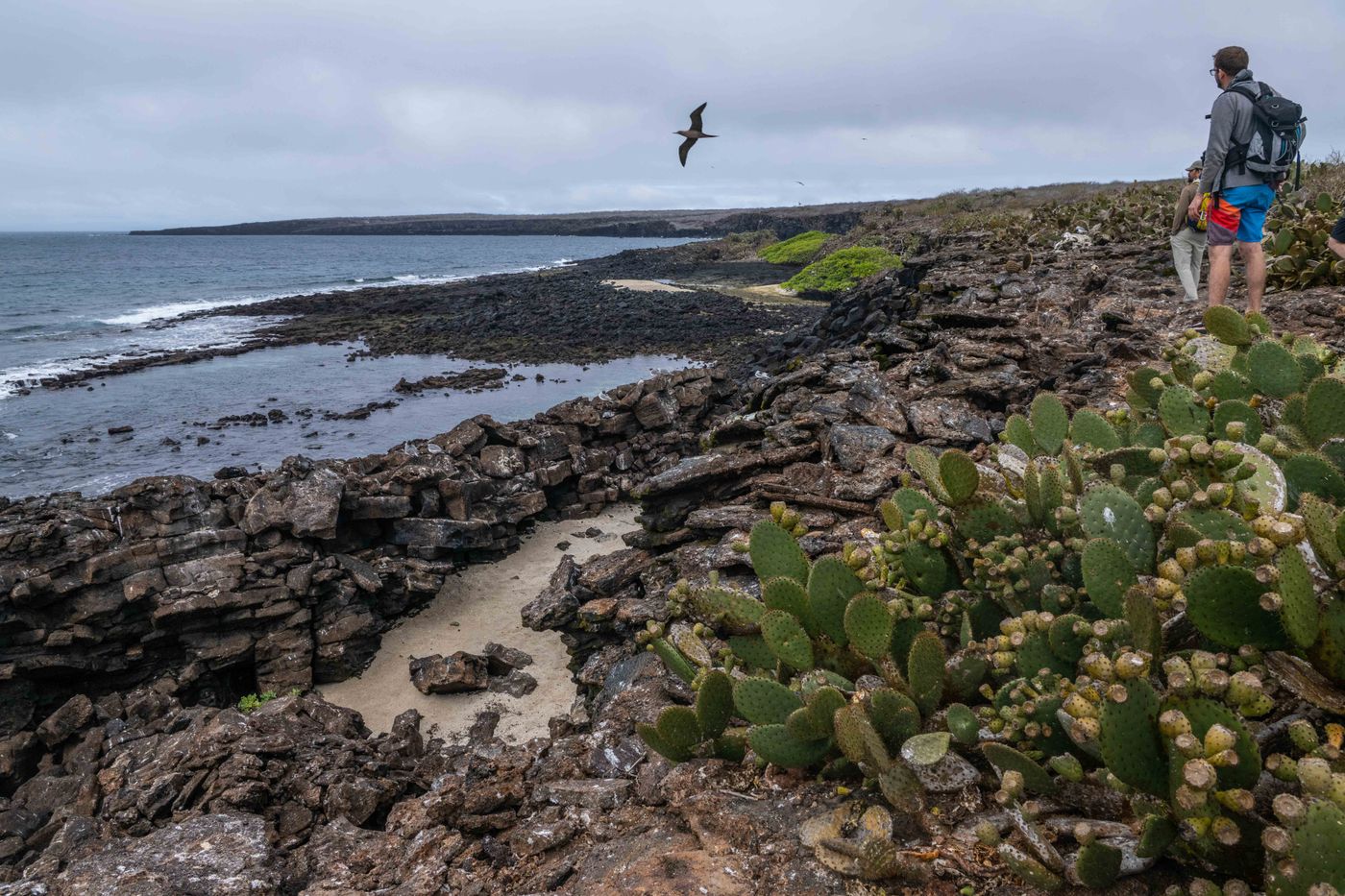 GalapagosBillyHerman-48 © Billy Herman
