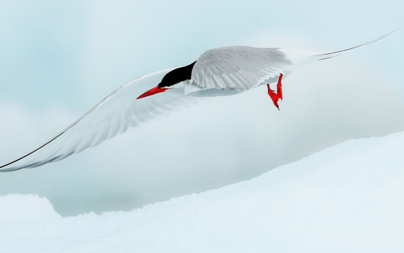 CorSvalbard-10 © Cor Nelissen