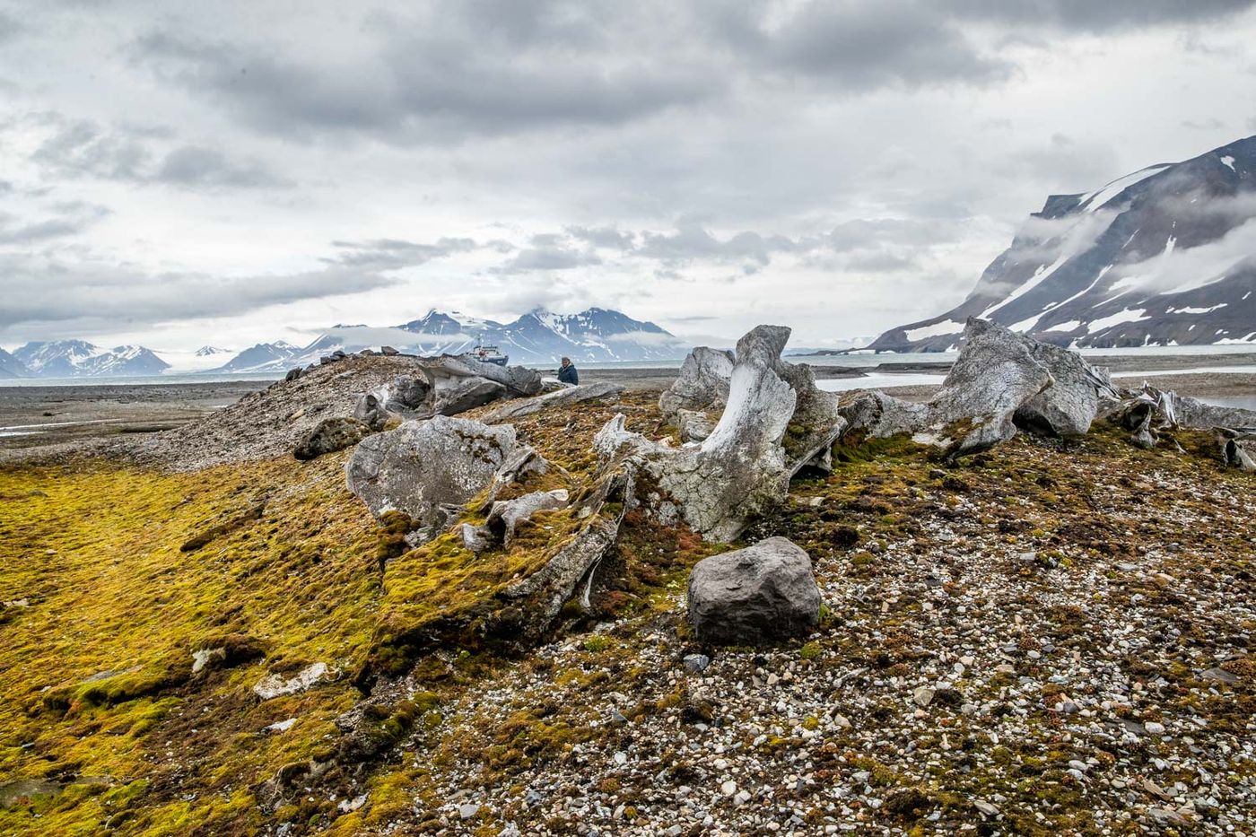CorSvalbard-23 © Cor Nelissen