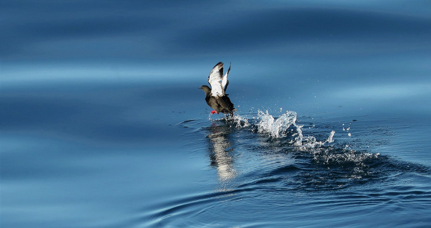 CorSvalbard-7 © Cor Nelissen