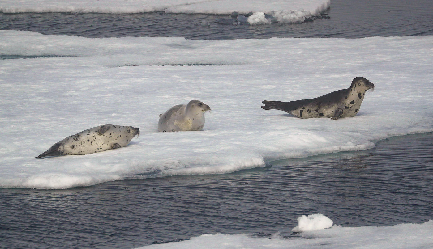 CorSvalbard-8 © Cor Nelissen