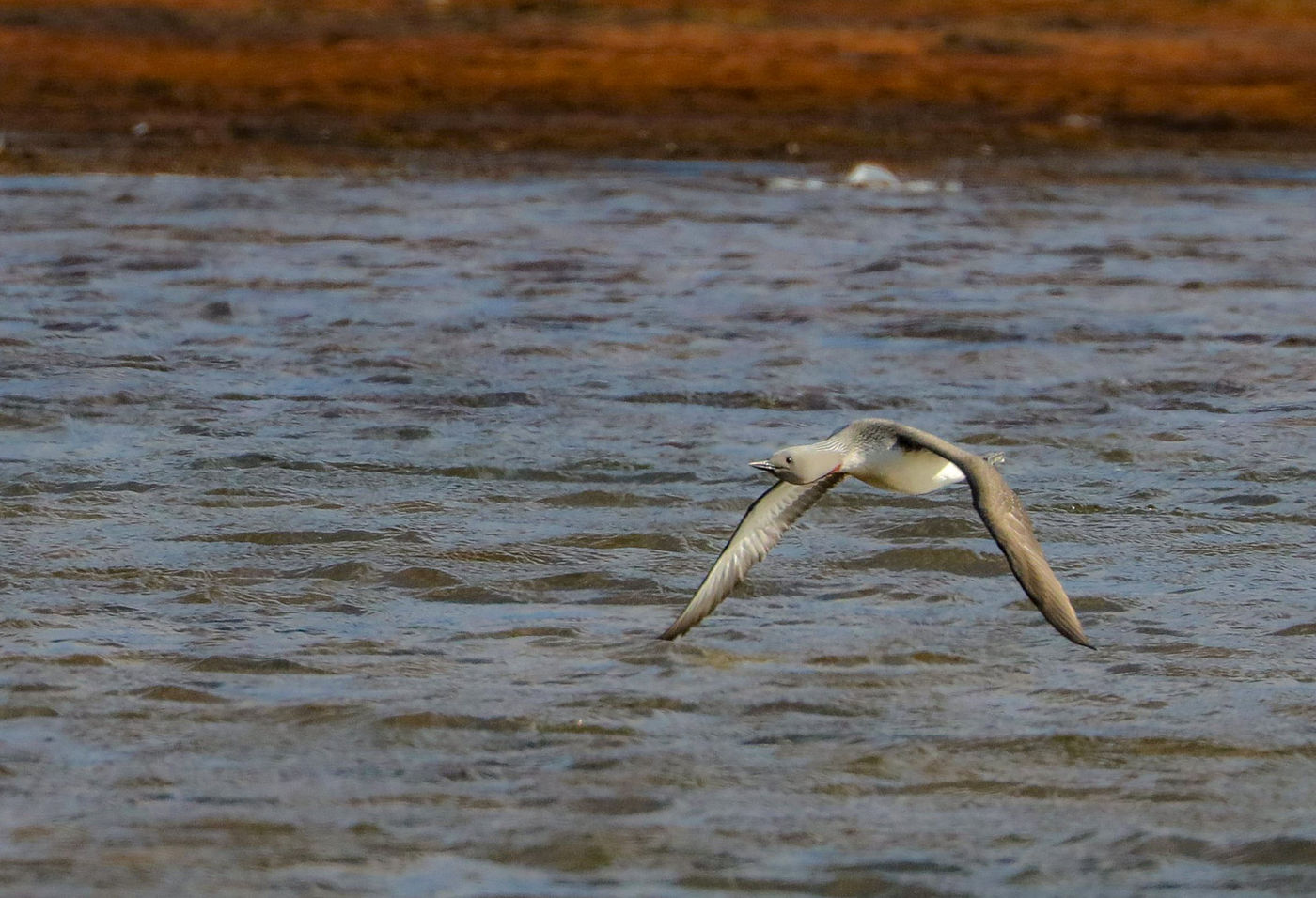 CorSvalbard-9 © Cor Nelissen