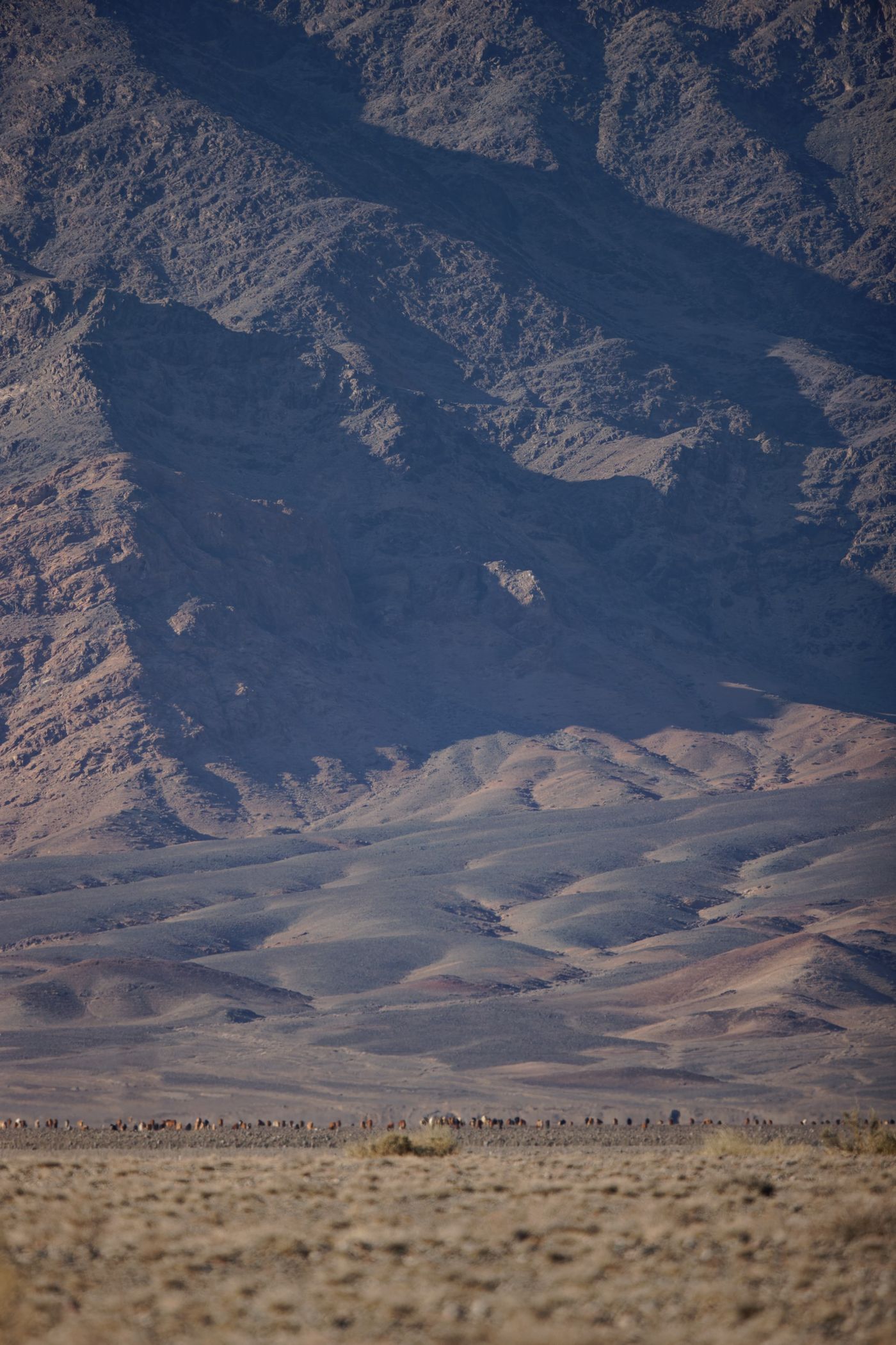 1F7A2465 JL Mongolie