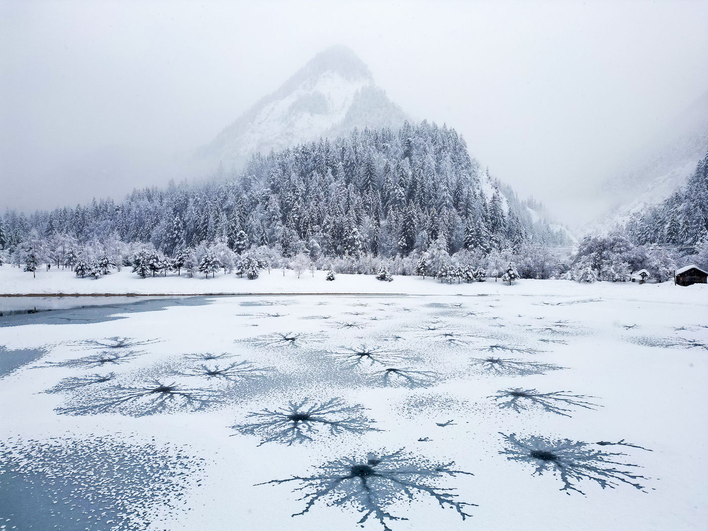© Bart Heirweg