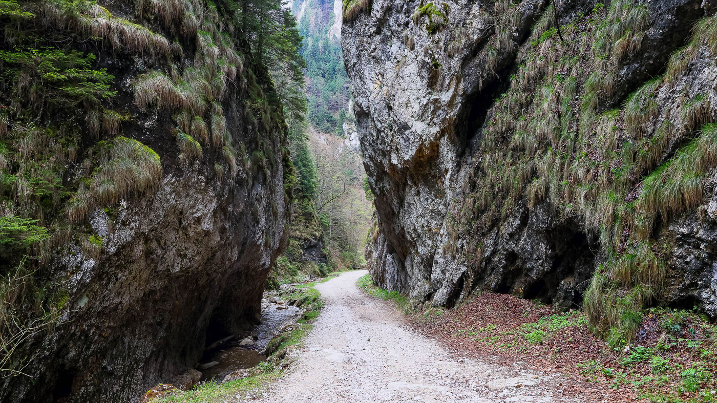 JohanVerbanckRoemenië2023-74 © Johan Verbanck