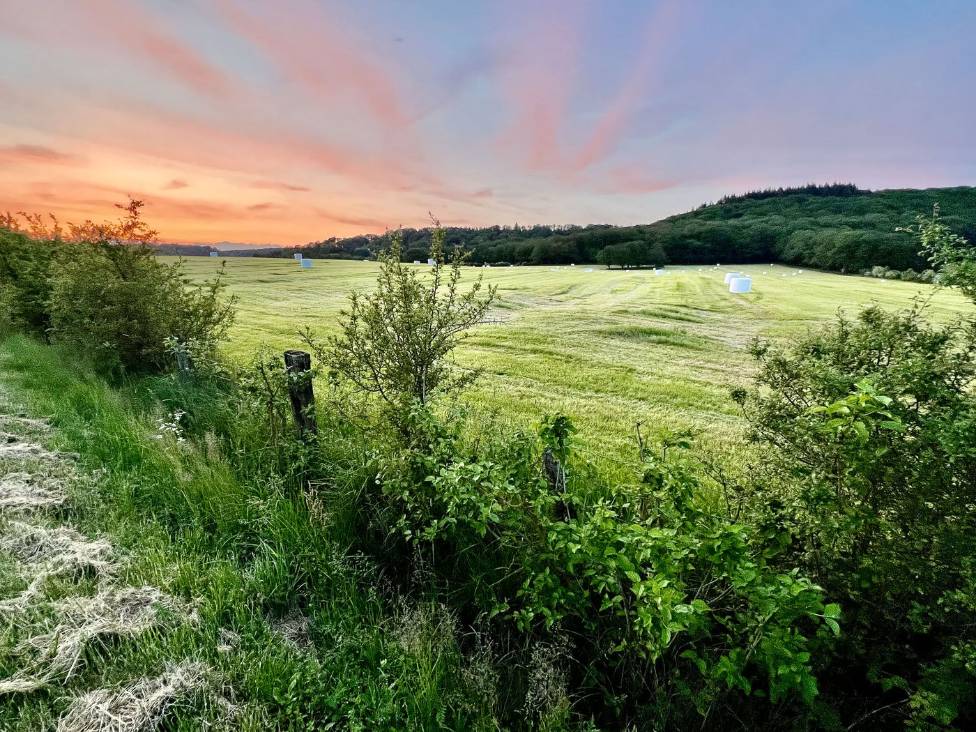 NatuurpuntNetebronnenBillyHerman-18 © Billy Herman