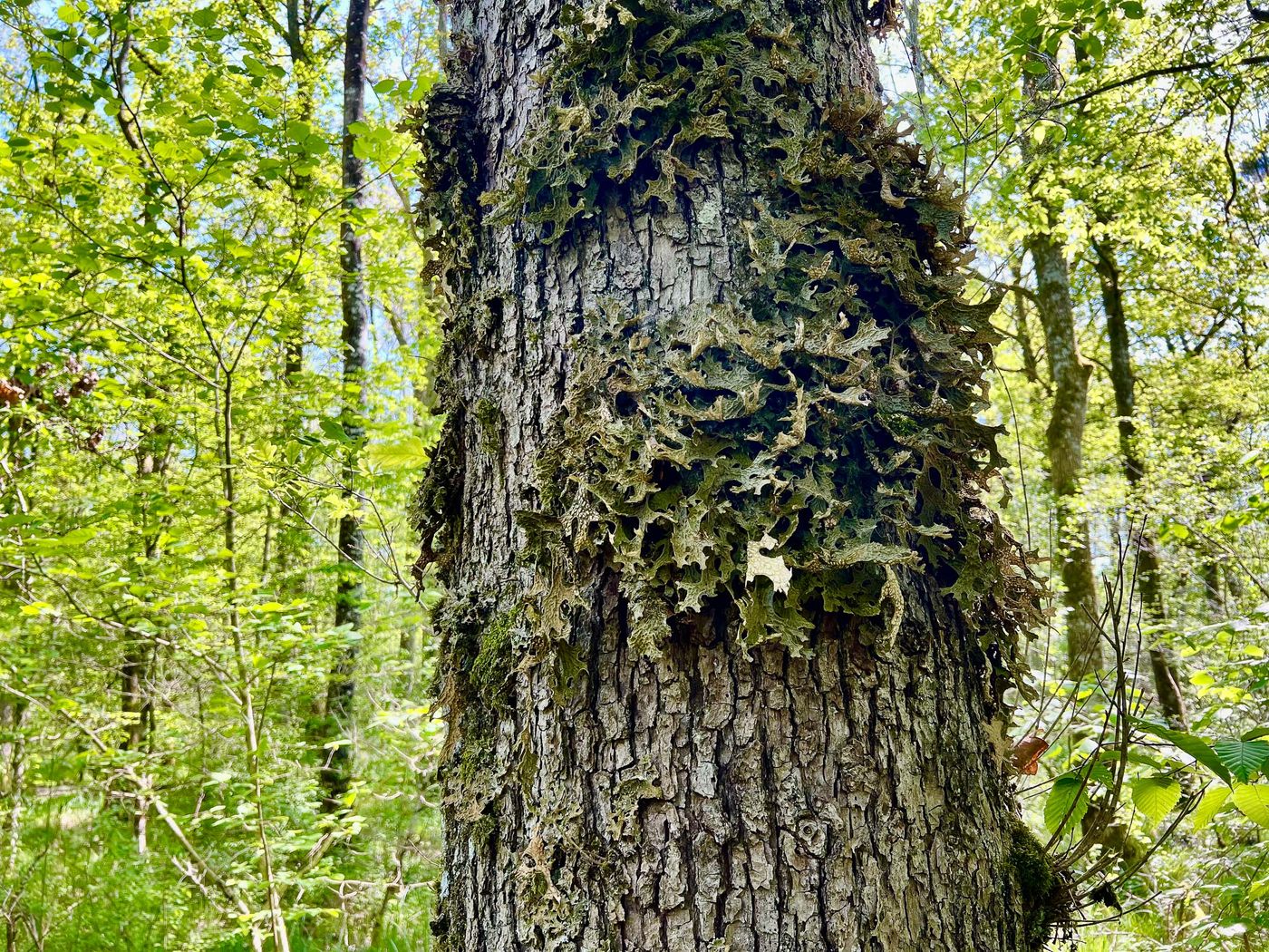 NatuurpuntNetebronnenBillyHerman-5 © Billy Herman