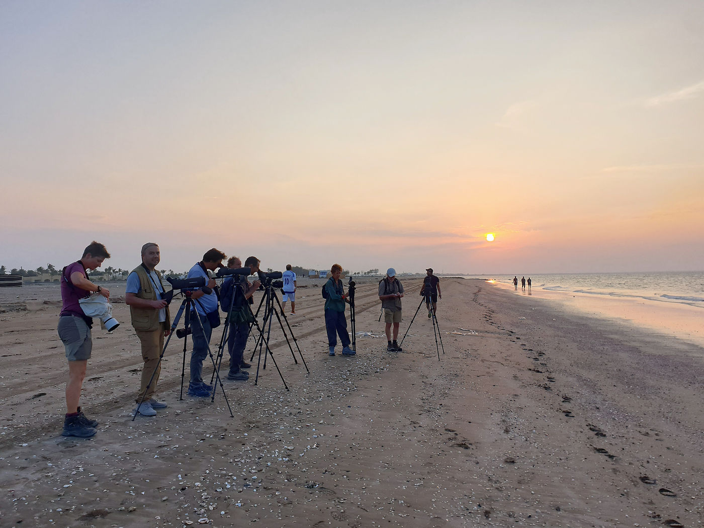 Fin de journée avec un peu de seawatch depuis la plage. © Noé Terorde