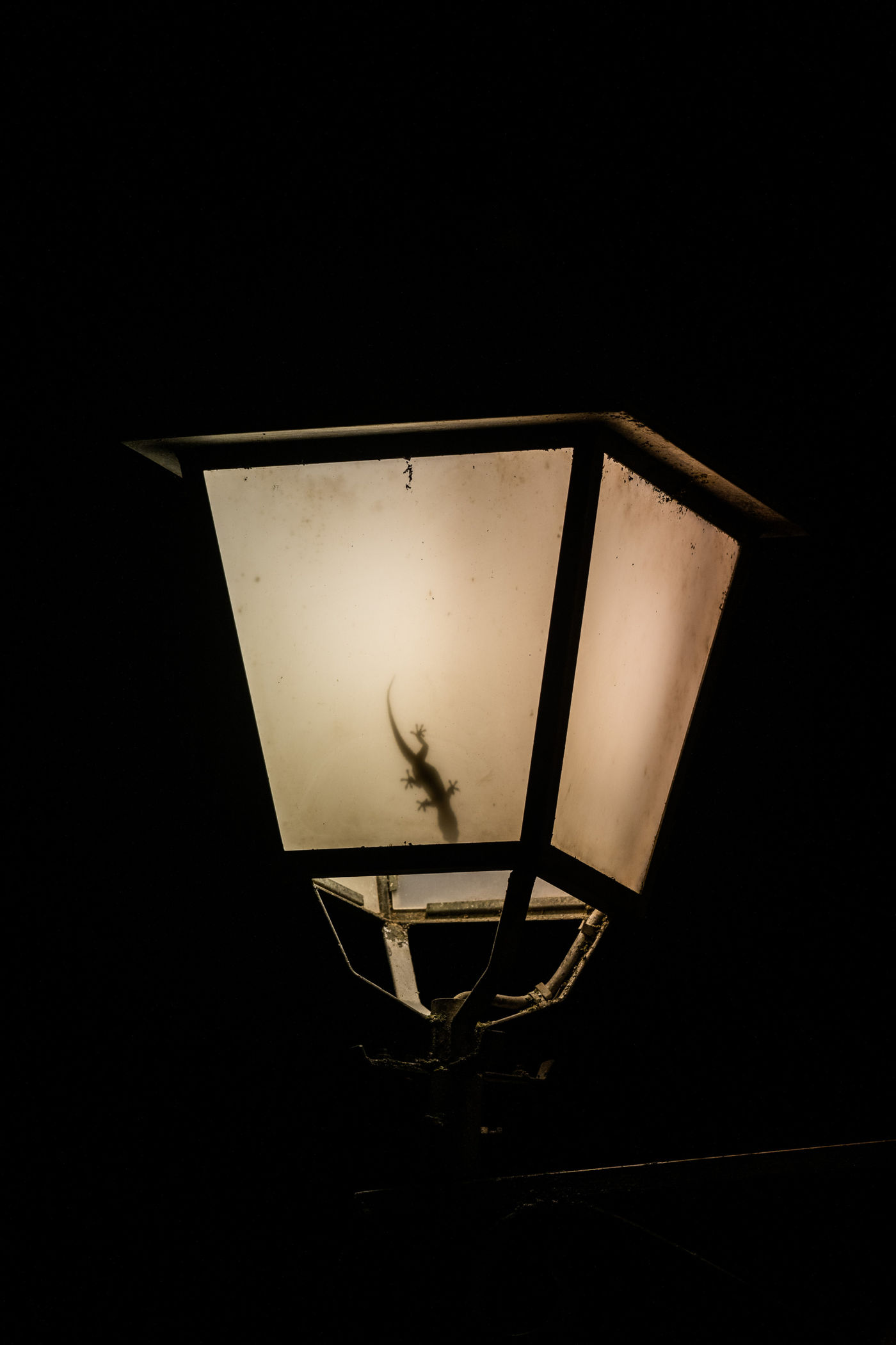 © Billy Herman