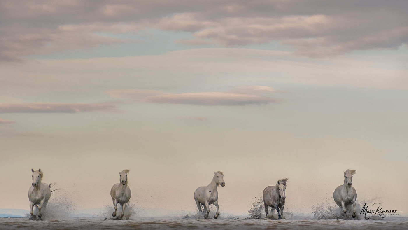 © Marc Rummens