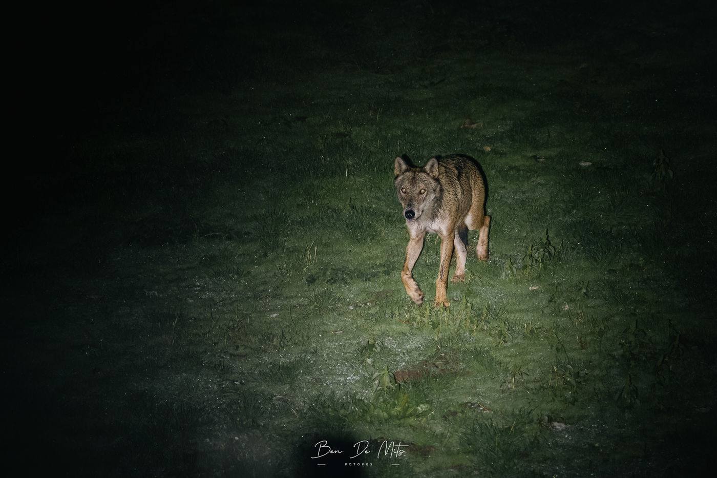 © Ben De Mits