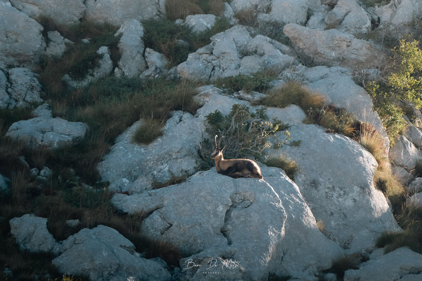 © Ben De Mits