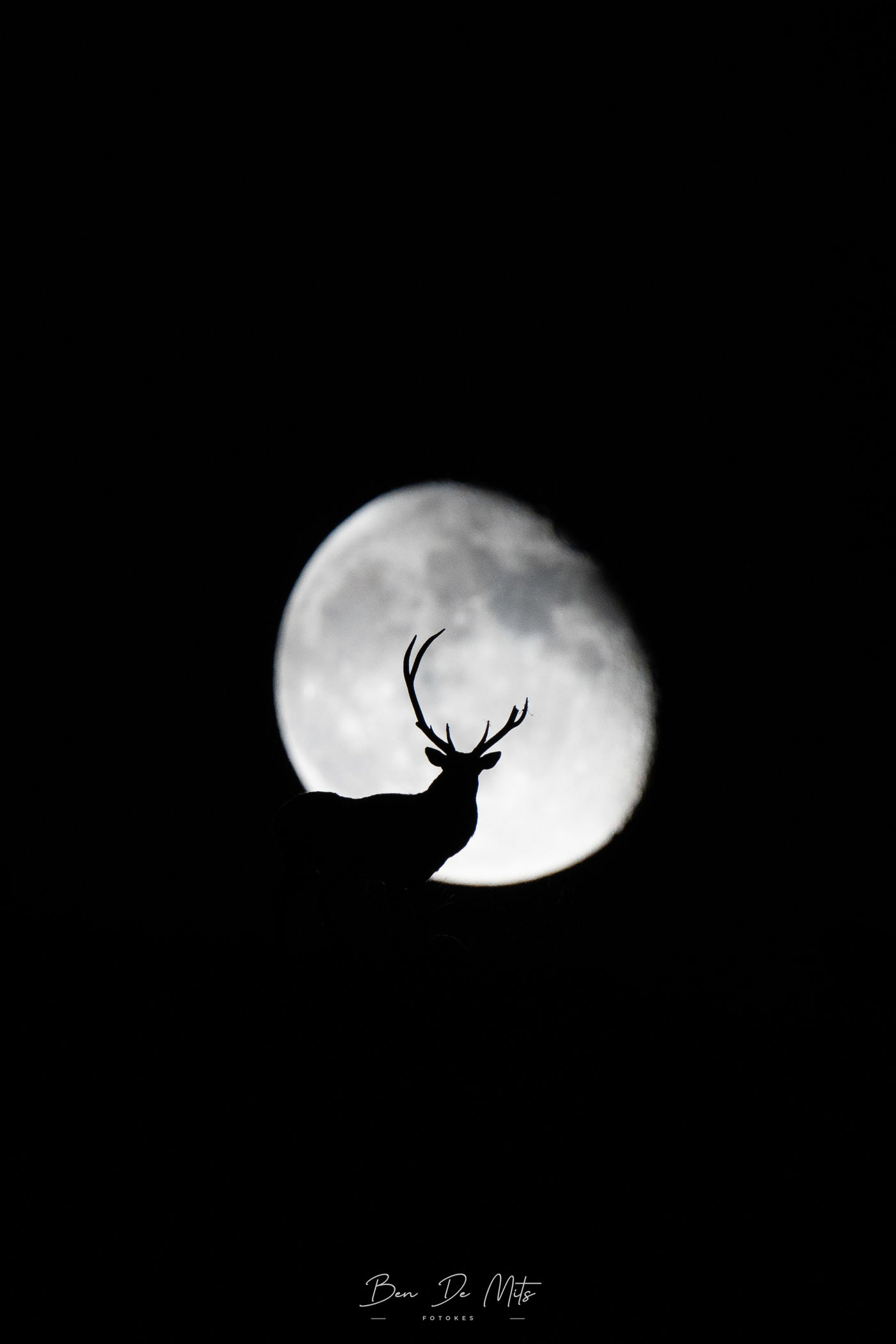 © Ben De Mits