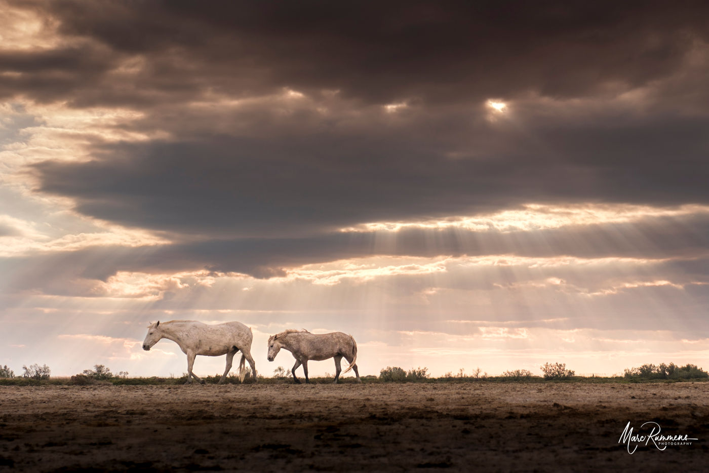 © Marc Rummens