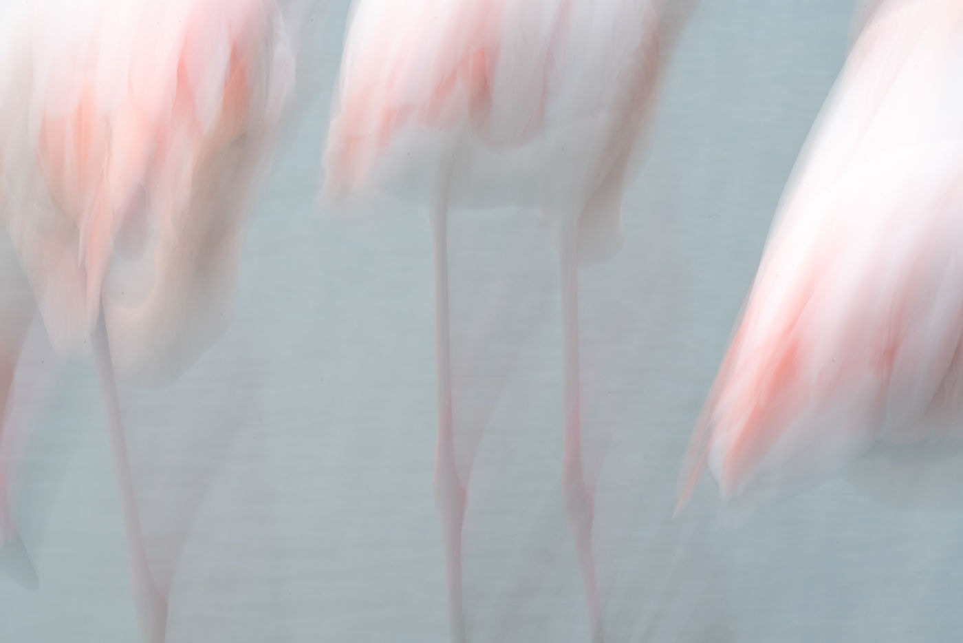 © Linda Van den Bossche