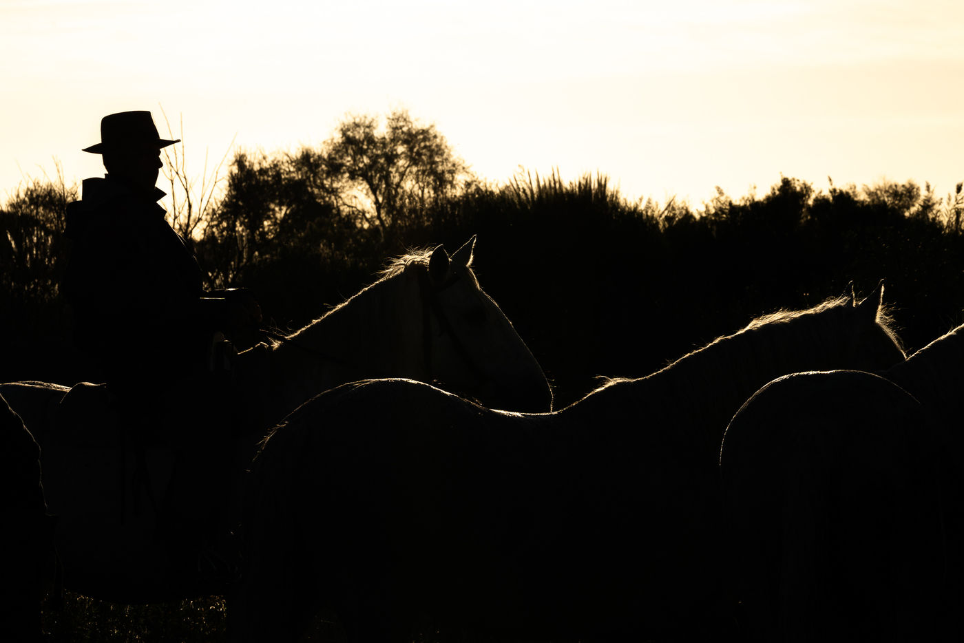 © Linda Van den Bossche