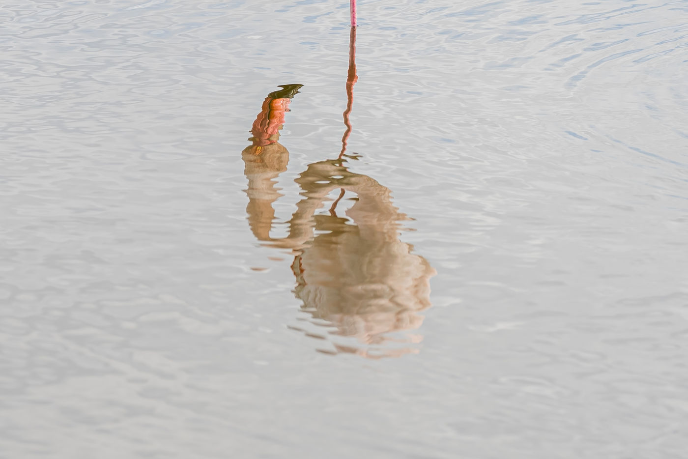 © Linda Van den Bossche