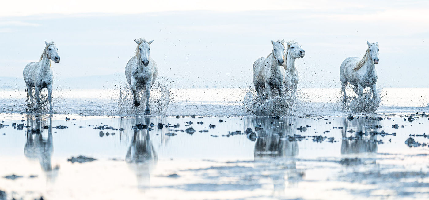 © Linda Van den Bossche