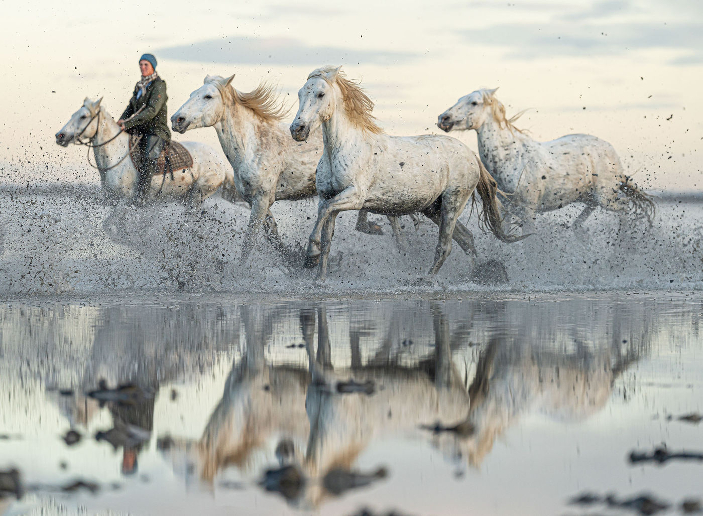 © Linda Van den Bossche