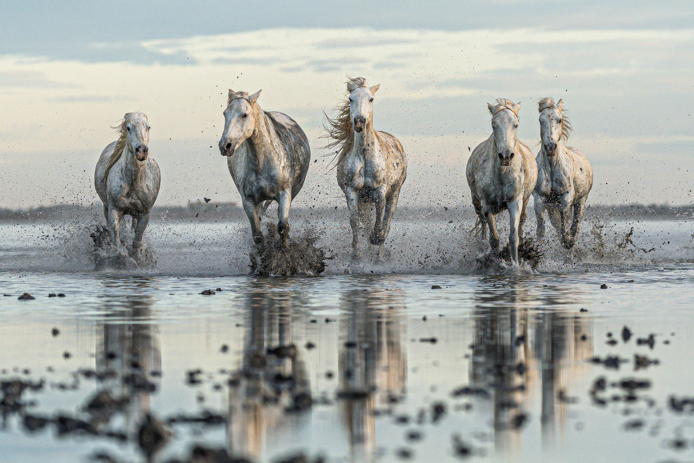 © Linda Van den Bossche