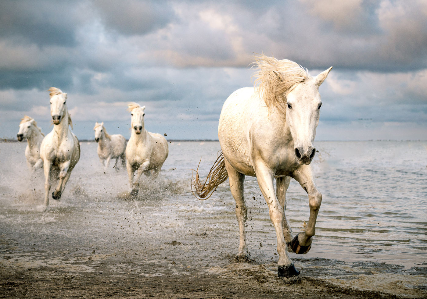 © Paul Geerts