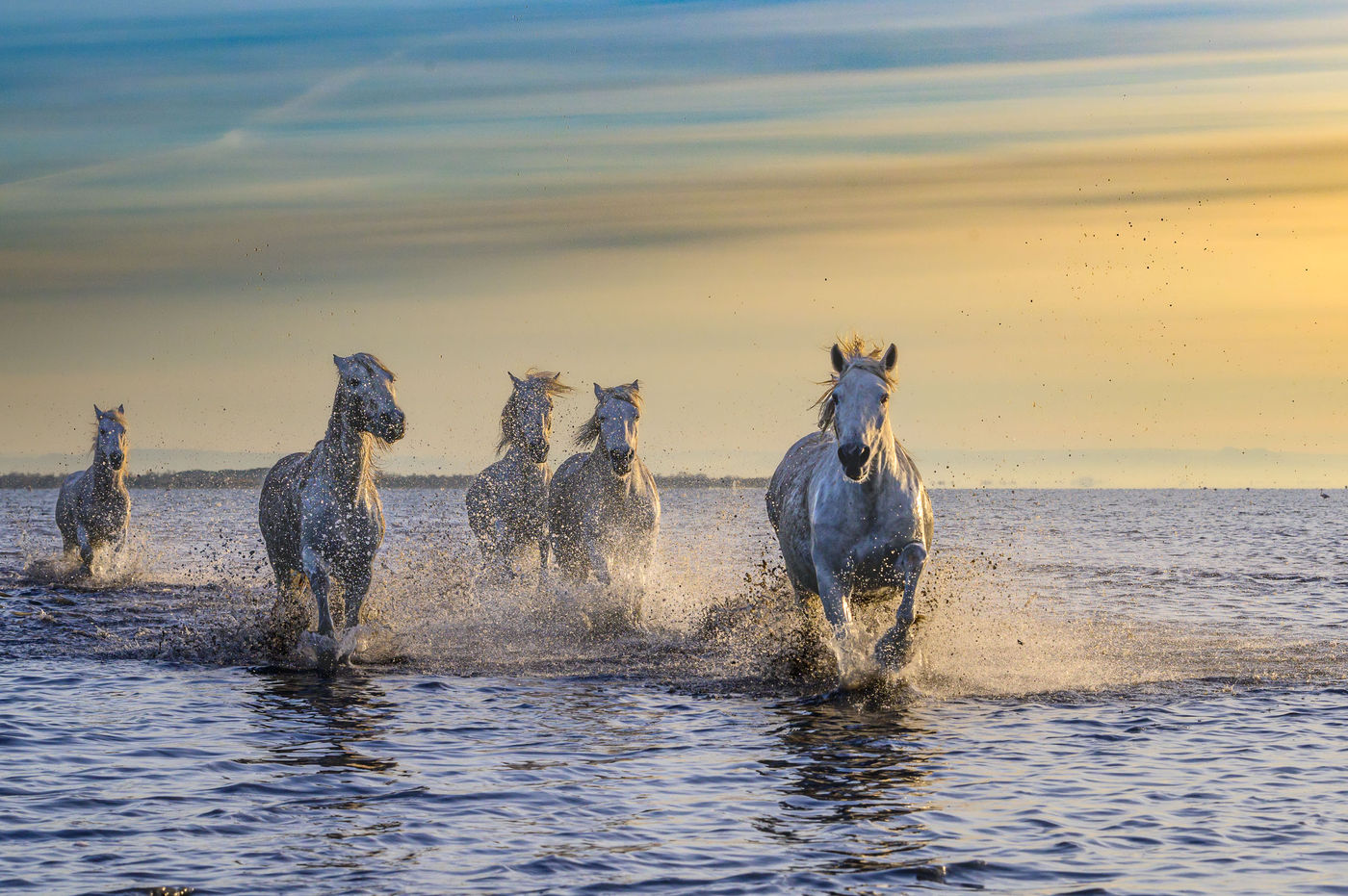 © Paul Geerts