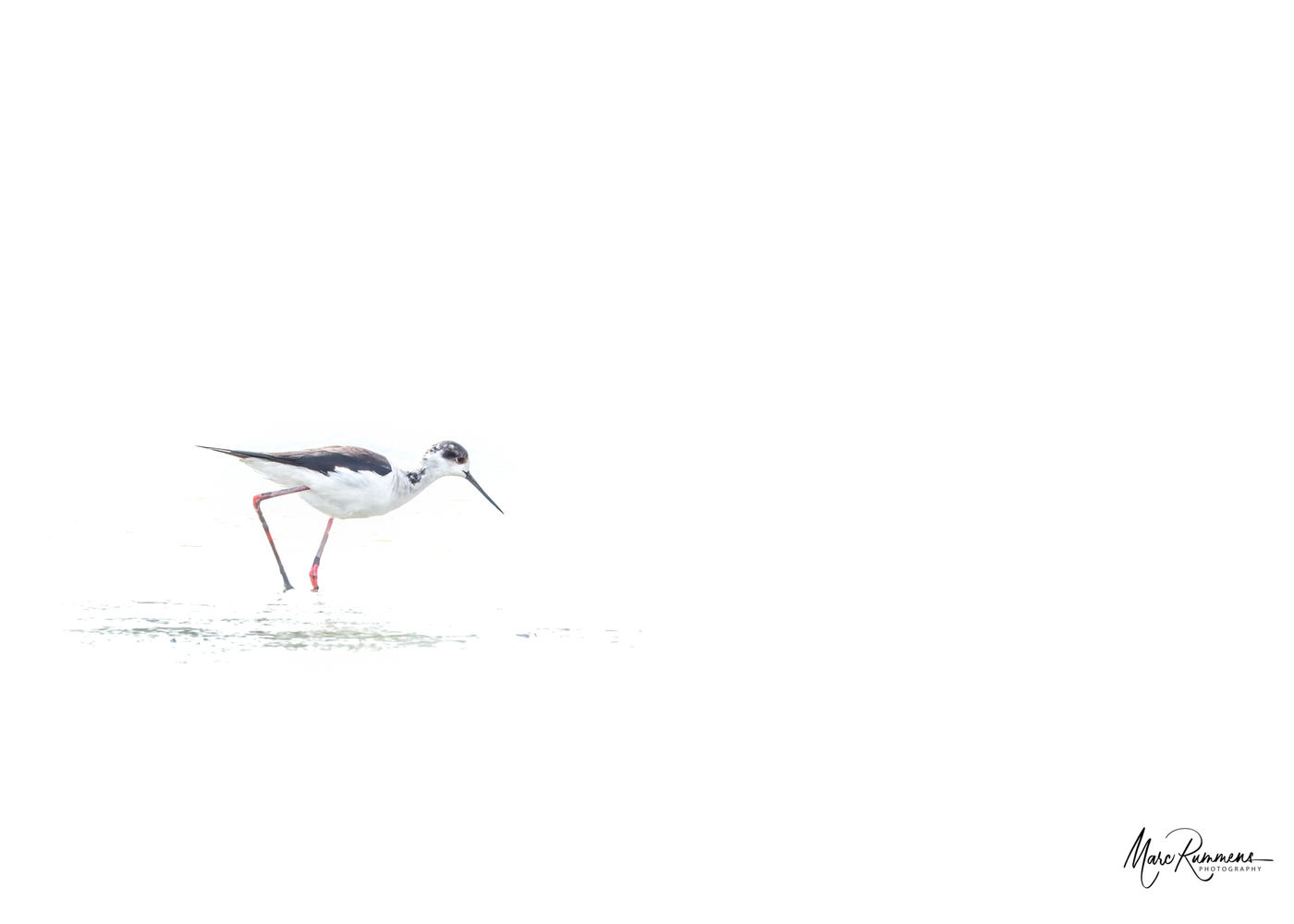 © Marc Rummens