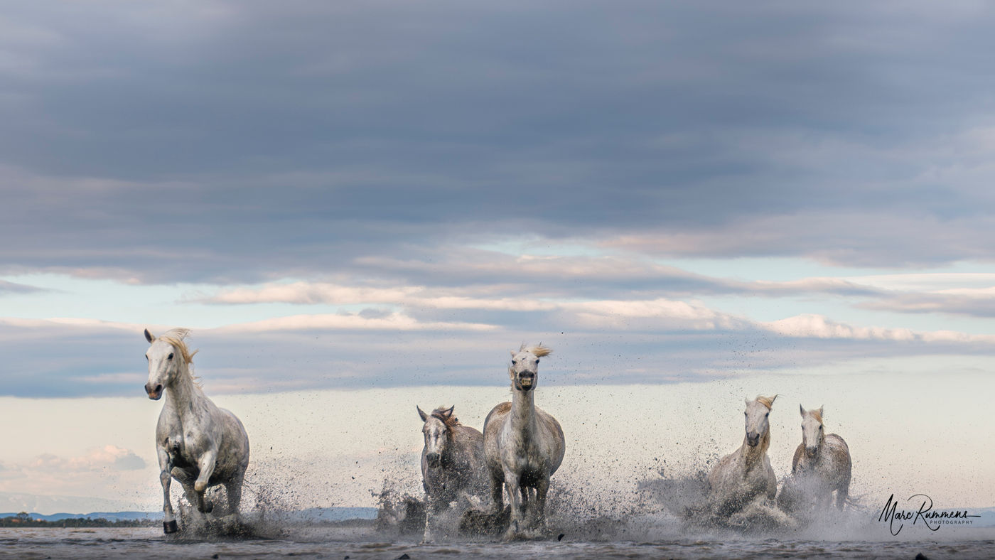 © Marc Rummens
