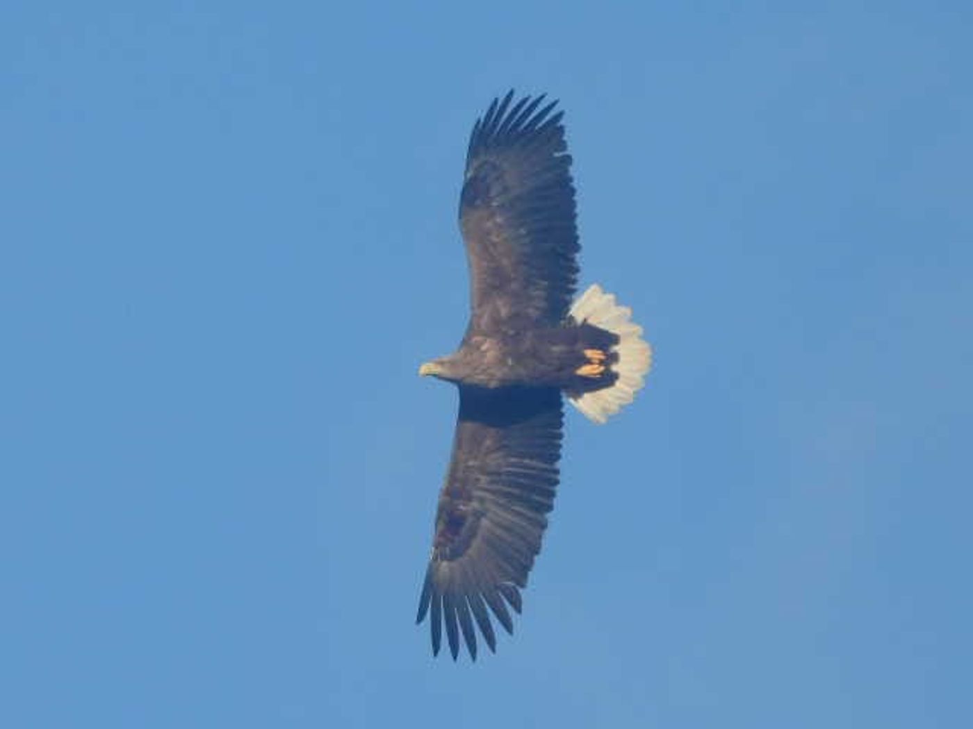 IMG-20250315-WA0019
