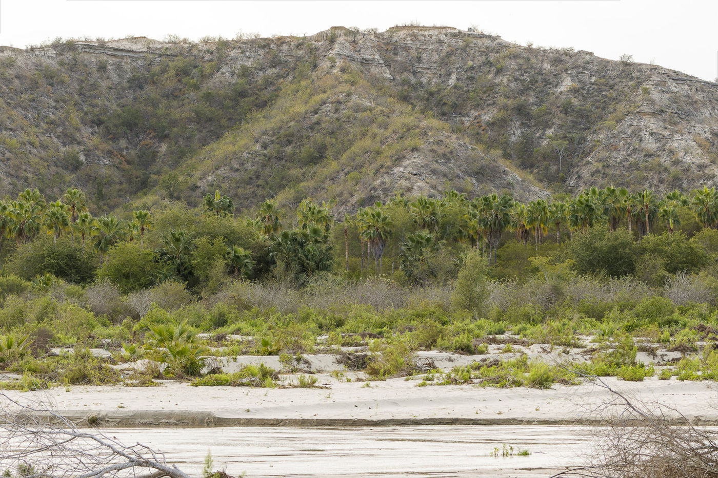 Landschap in Baja © Joachim Bertrands