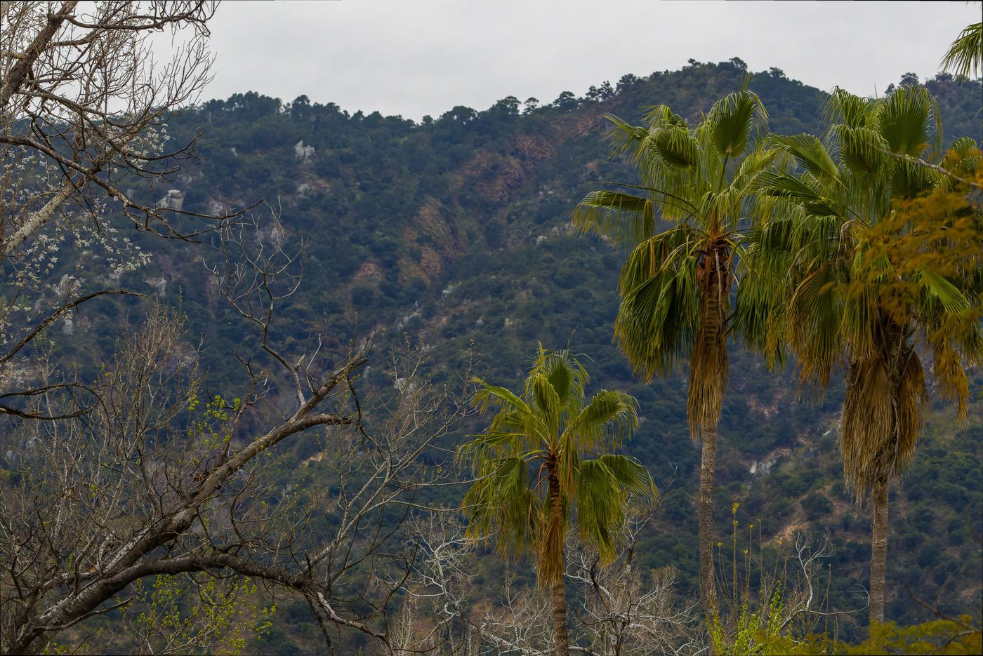 Landschap Baja © Joachim Bertrands