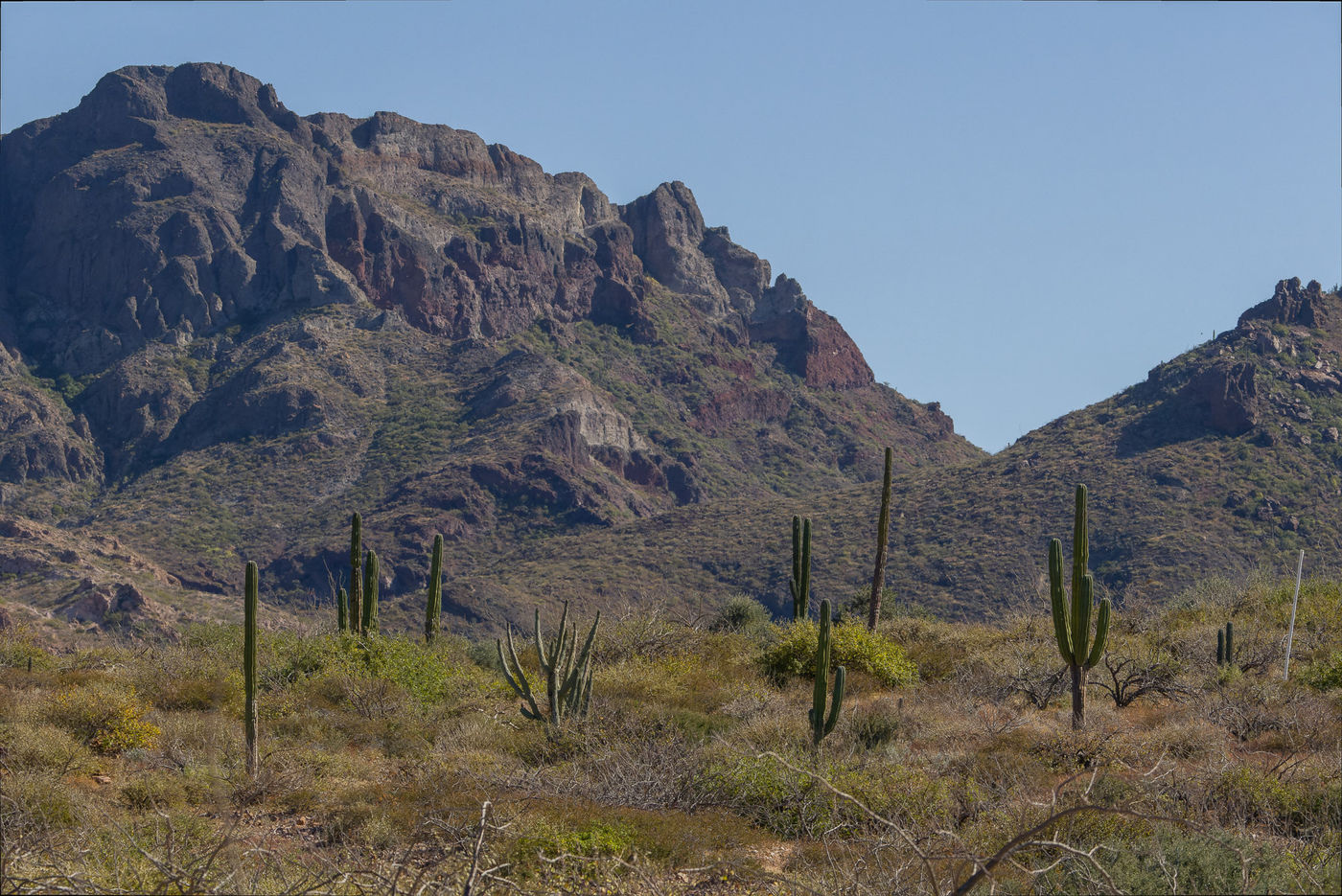 Landschap Baja © Joachim Bertrands