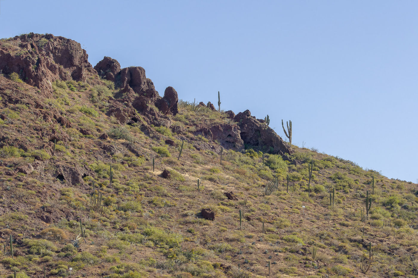 Landschap Baja © Joachim Bertrands