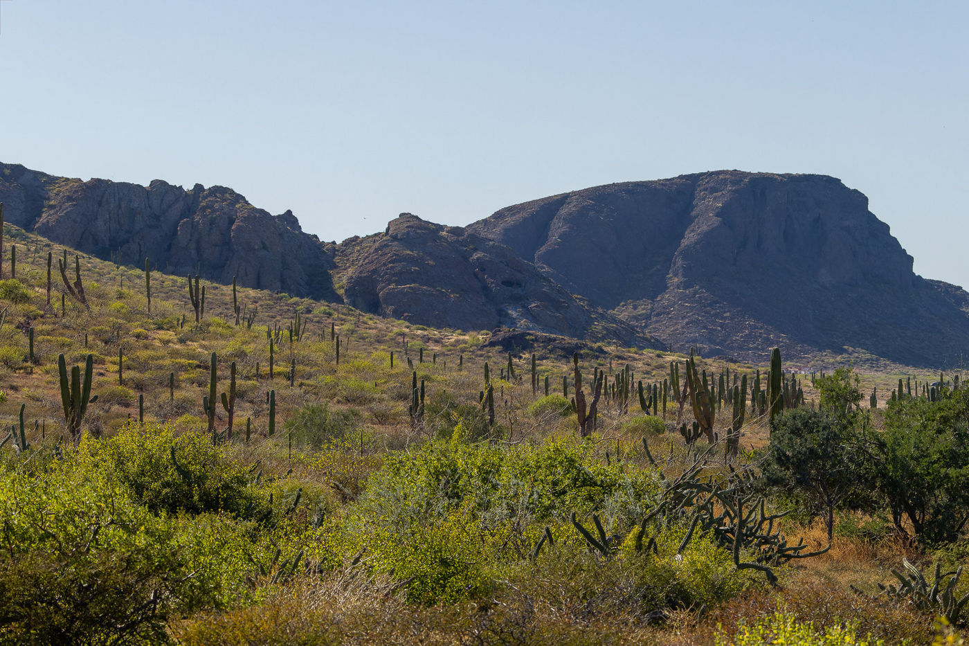 Landschap Baja © Joachim Bertrands