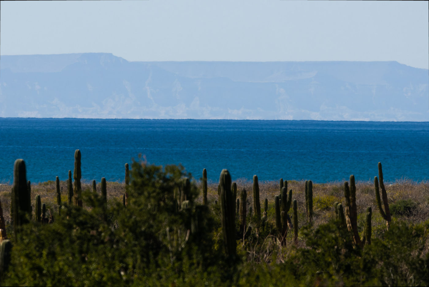 Landschap Baja © Joachim Bertrands