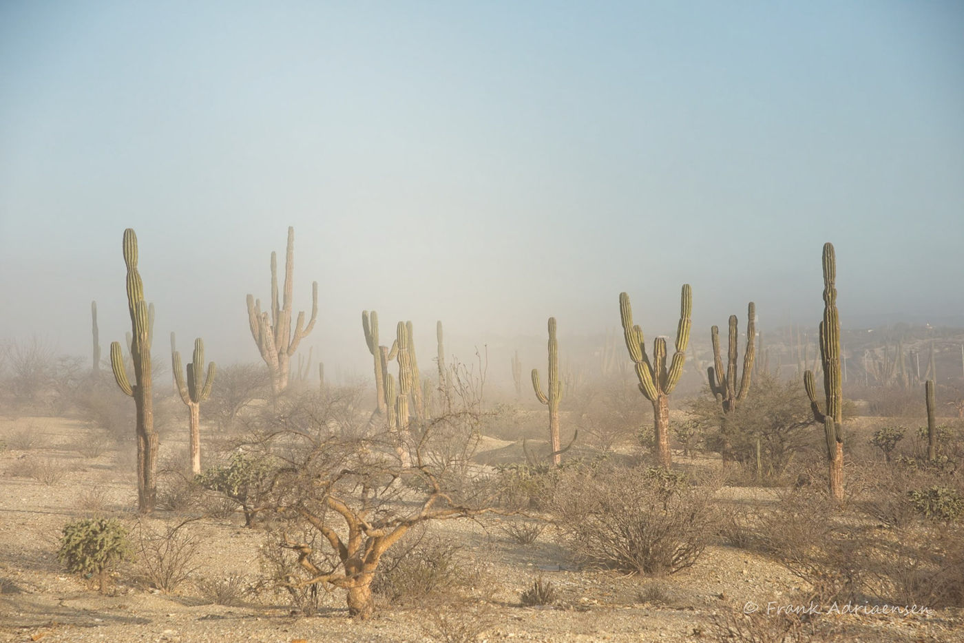 Landschap te Baja © Frank Adriaensen