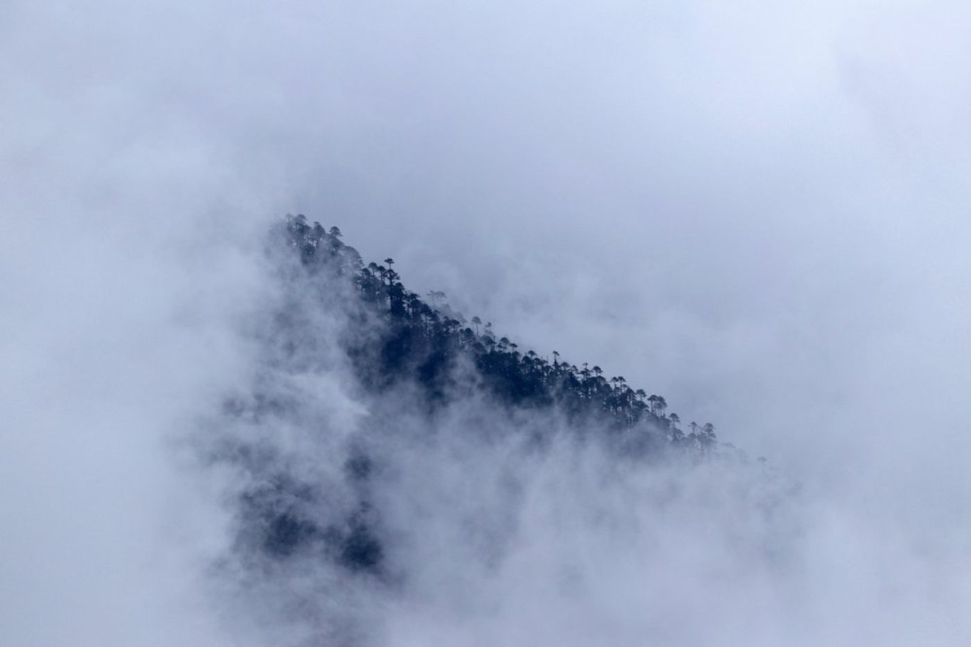 © Lieven De Temmerman