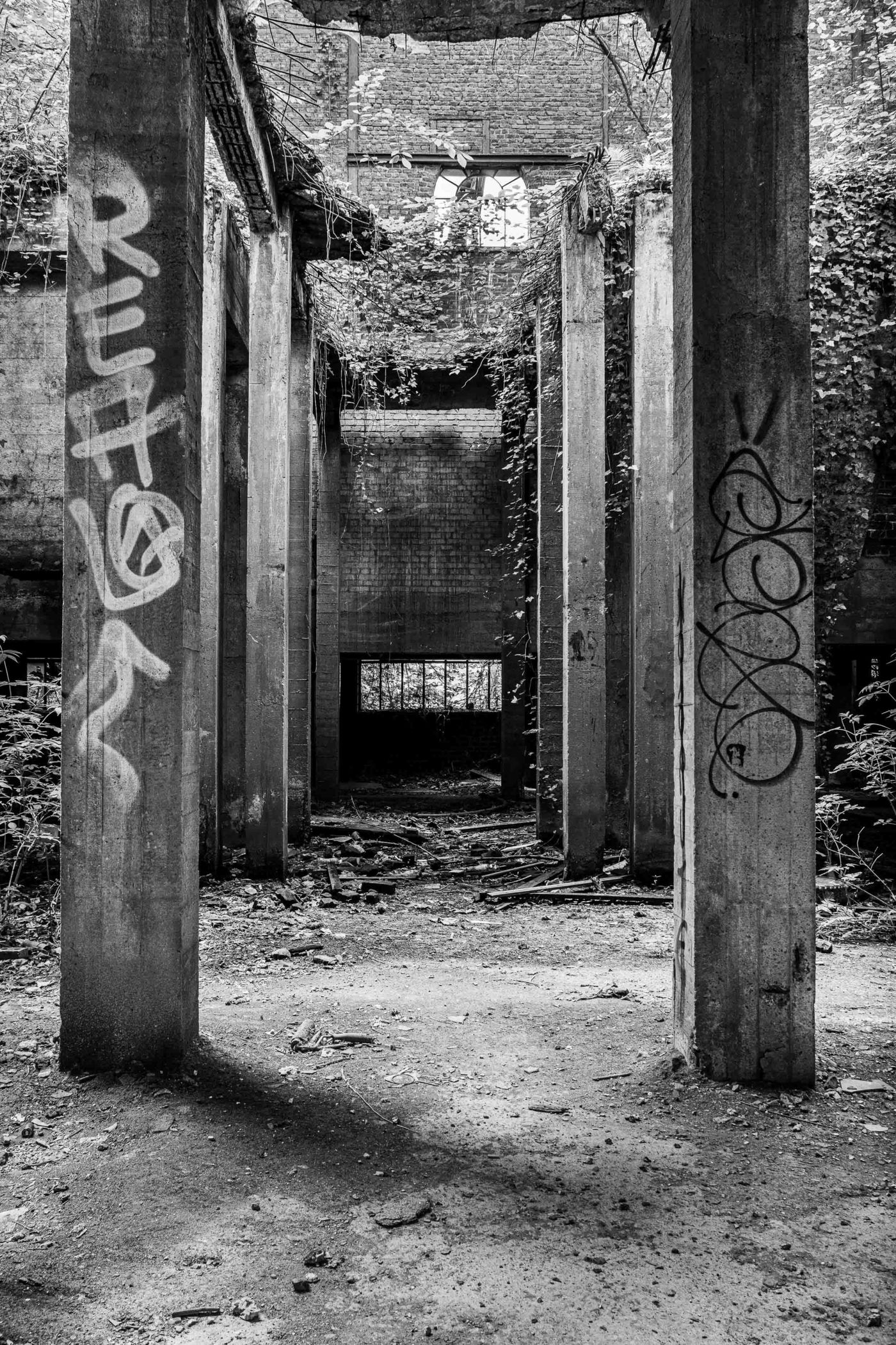 © Inge Vankeirsbilck